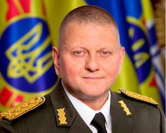 “北溪”背后的大水鱼，终于被揪出来了！德国查明，扎卢日内大将，竟然是“北溪”真正