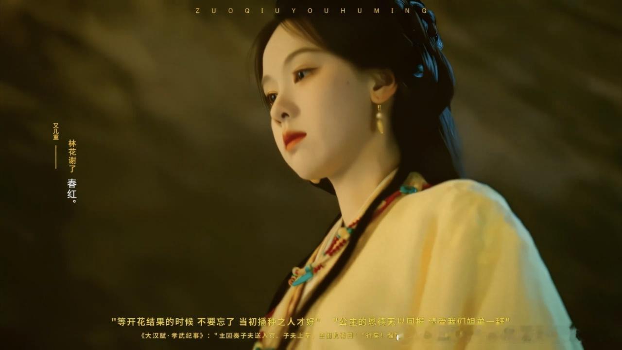 拼好饭吃到内娱古装顶配群像了ai盛行的时代史同女坚持手搓 谁做的《大汉赋·孝武纪