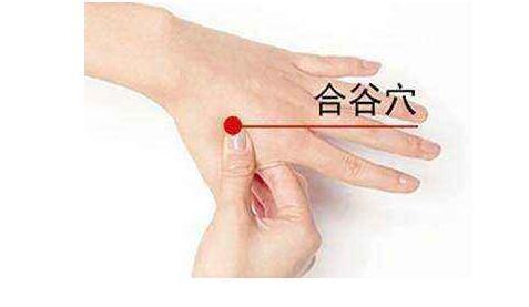 头痛牙痛、鼻塞便秘？“合谷穴” 常用，但孕妇别按
大家好，我是陈大夫！
头痛、牙