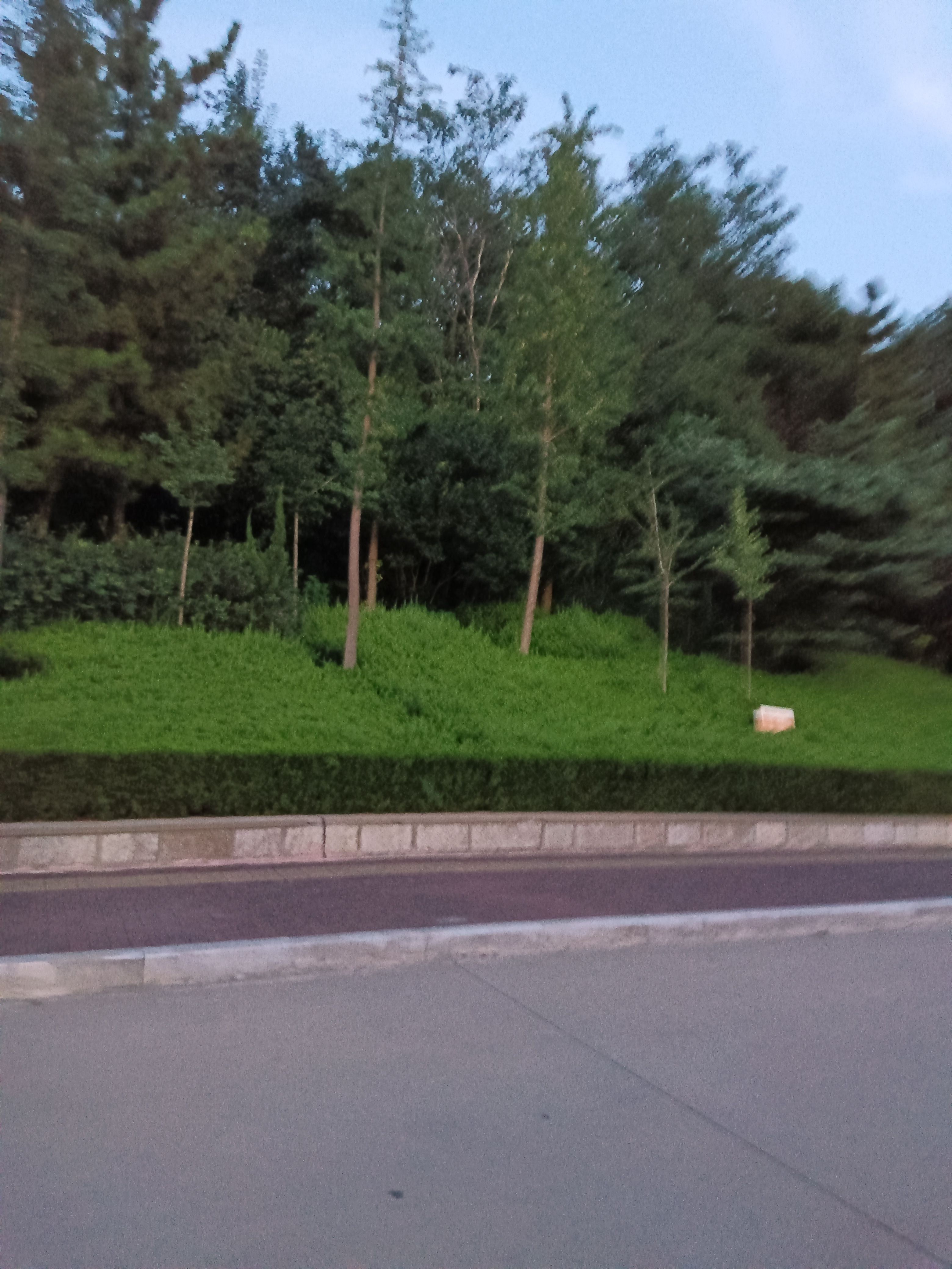 每日一善[超话]‎阳光‎信用 善良是心底最柔软的光，不经意间照亮他人的路。它无需