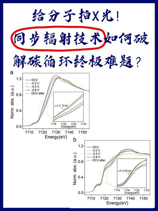 同步辐射技术如何破解碳循环终极难题？