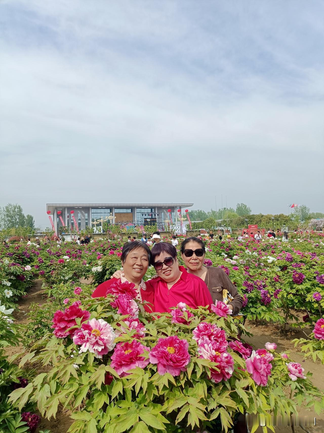 续牡丹打油诗
 
我想提笔写牡丹
心中无墨终觉浅
满园国色醉春风
一笑芳华胜万千