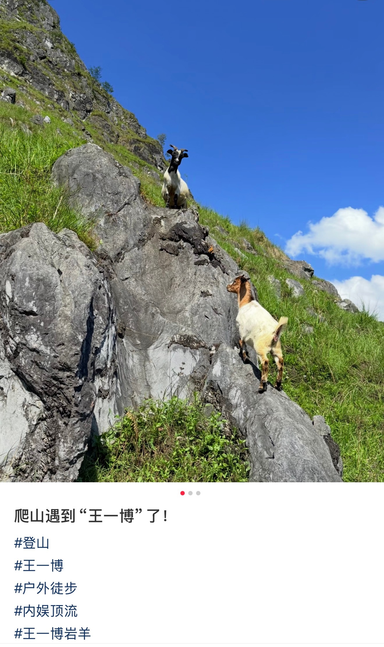 王一博  刷到个户外博主（看主页不是粉丝）岩羊塑太出圈了