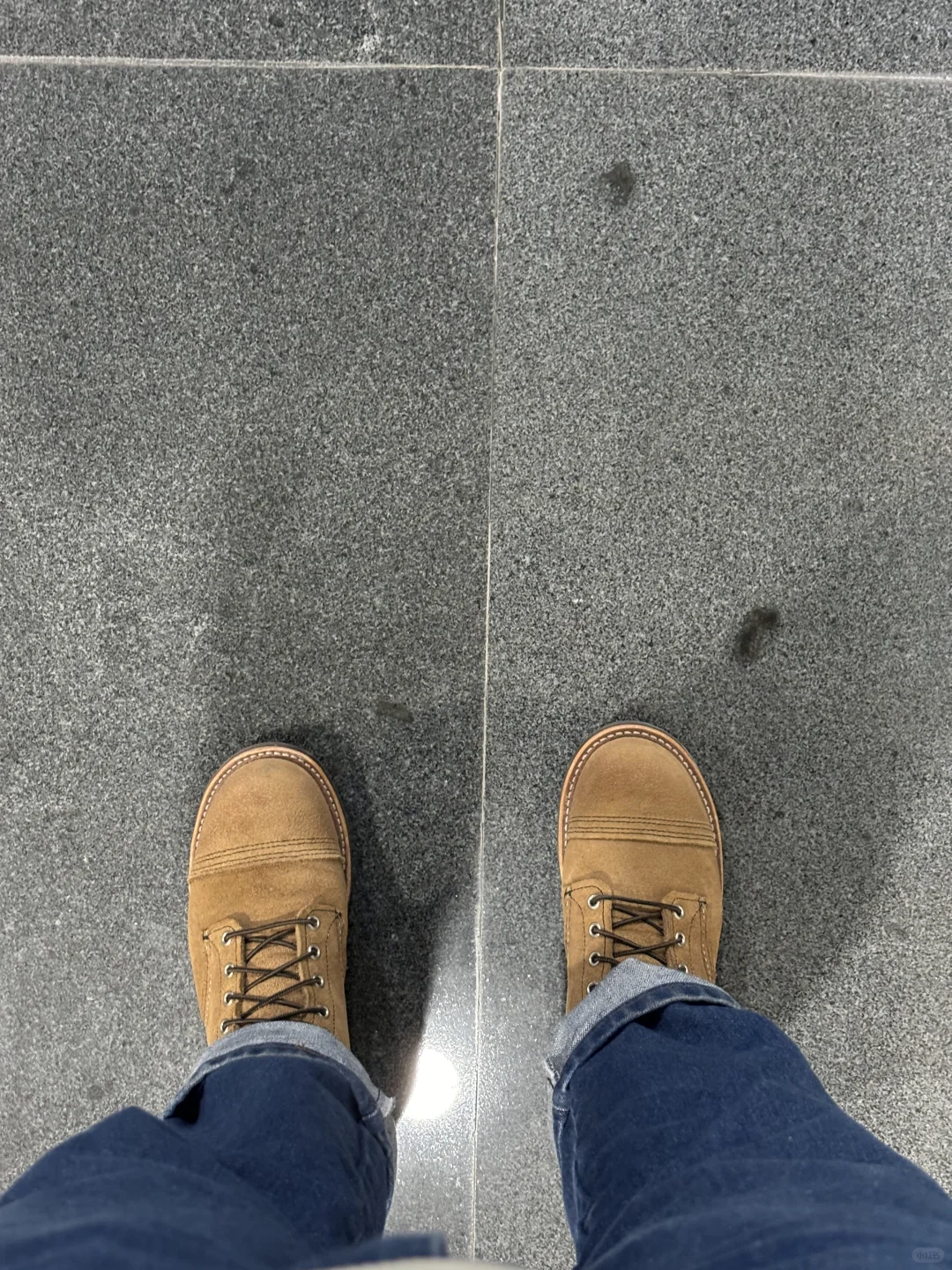 中了红翼的毒🤔