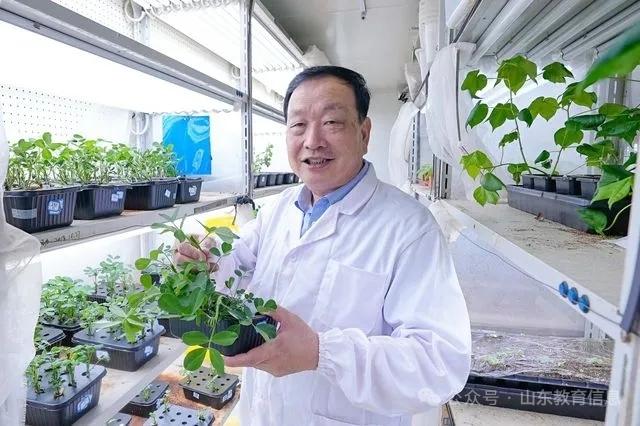 山东省2026全国“最美教师”拟推荐候选人：
​1. 万勇善，1960 年8 月