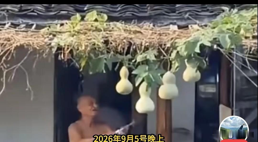 “葫芦娃爷爷”隔壁阳台挂起7个葫芦爷爷把葫芦收回家，还自己一方清净；隔壁挂起七个