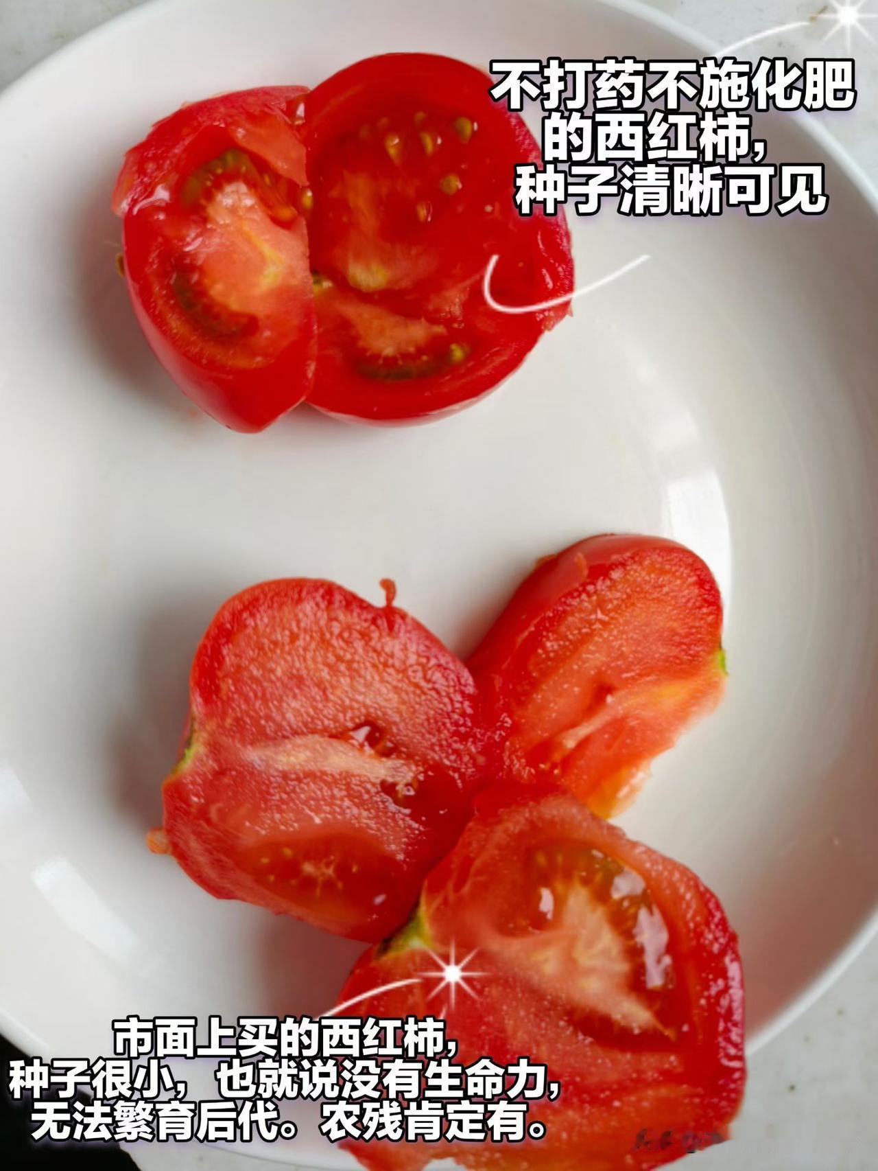 对比了一下买的自然农耕的西红柿，和家人买的市面上的西红柿，确实不一样。
    