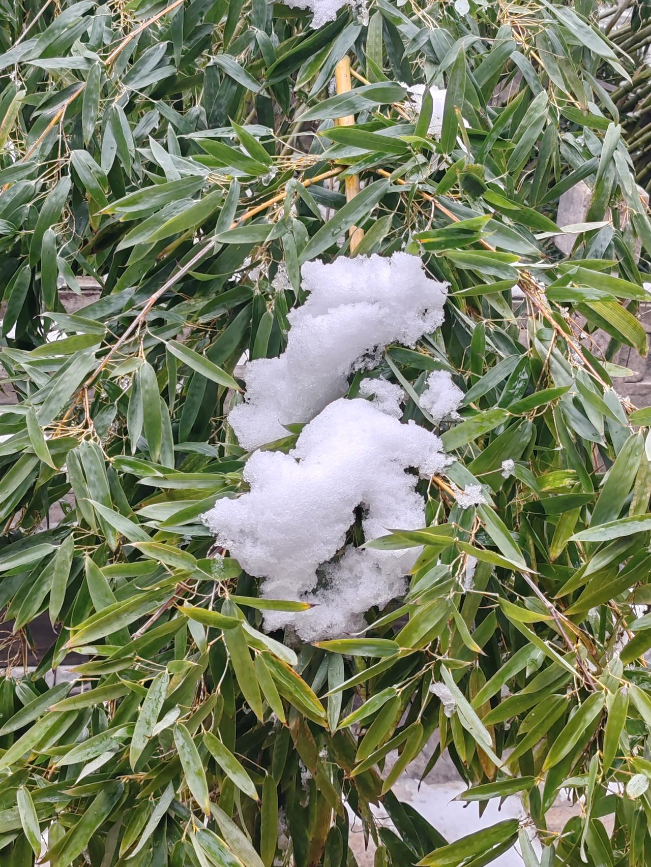 这话说得太有道理啦！真正的安宁不在深山而在心间。在这喧嚣尘世，很多人总向往着深山