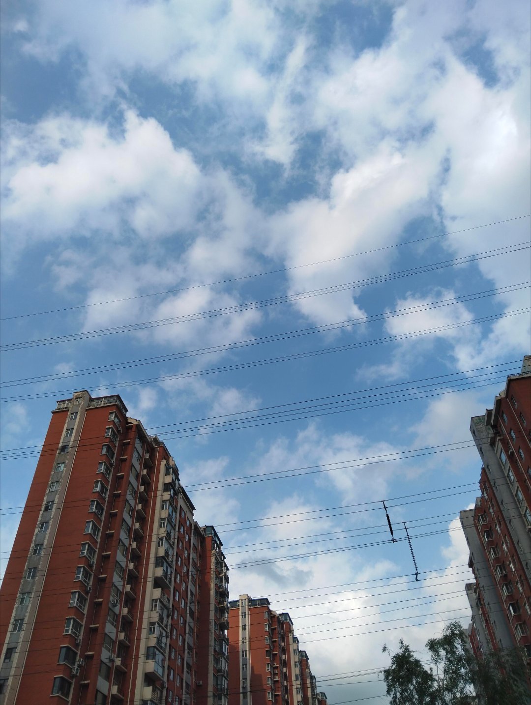 今天下午长春的天气还可以，有点夏天的样子了 长春