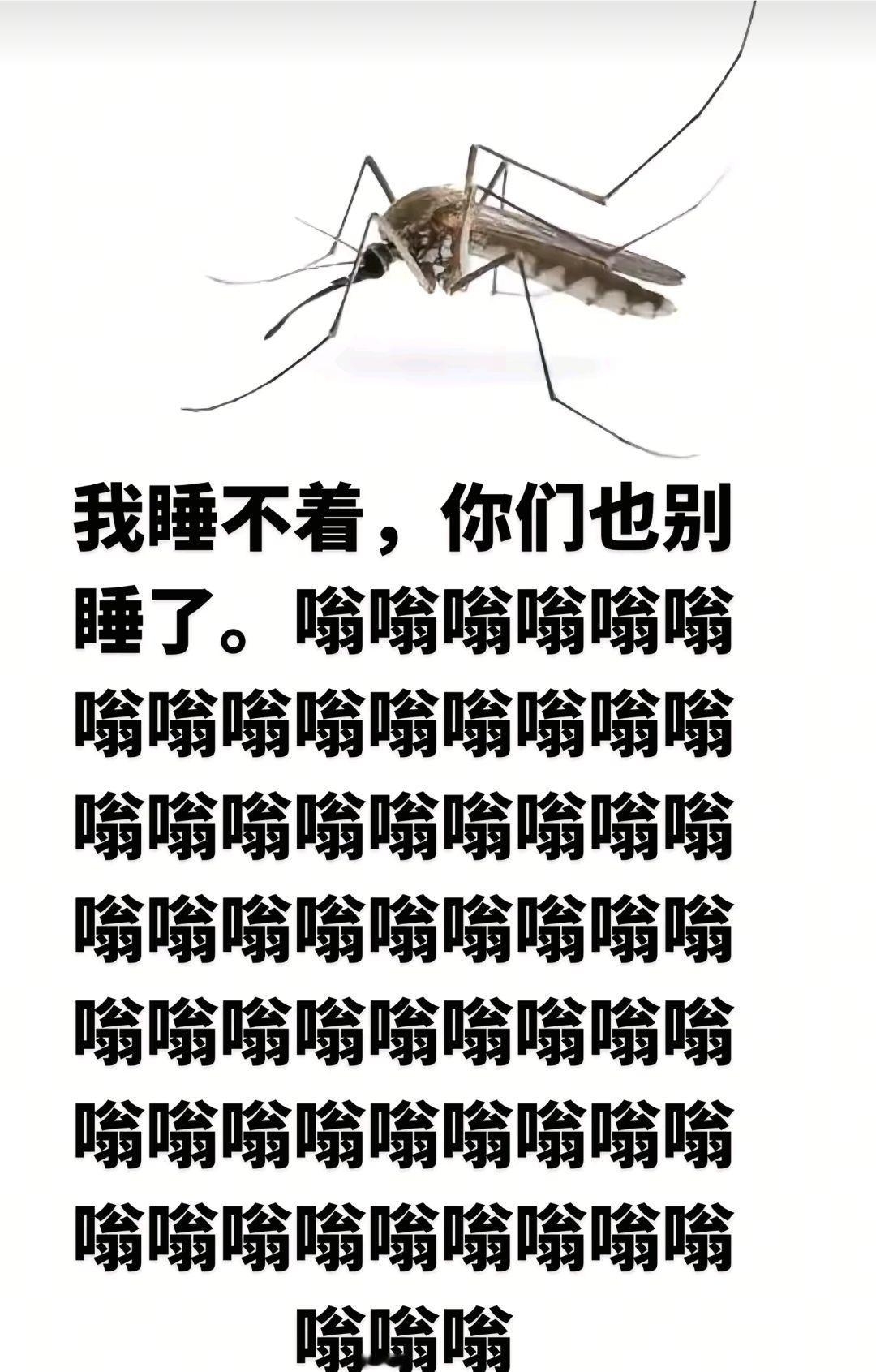 我睡不着，你们也别睡了，蚊子嗡嗡声 嗡嗡嗡嗡嗡嗡嗡嗡嗡嗡嗡