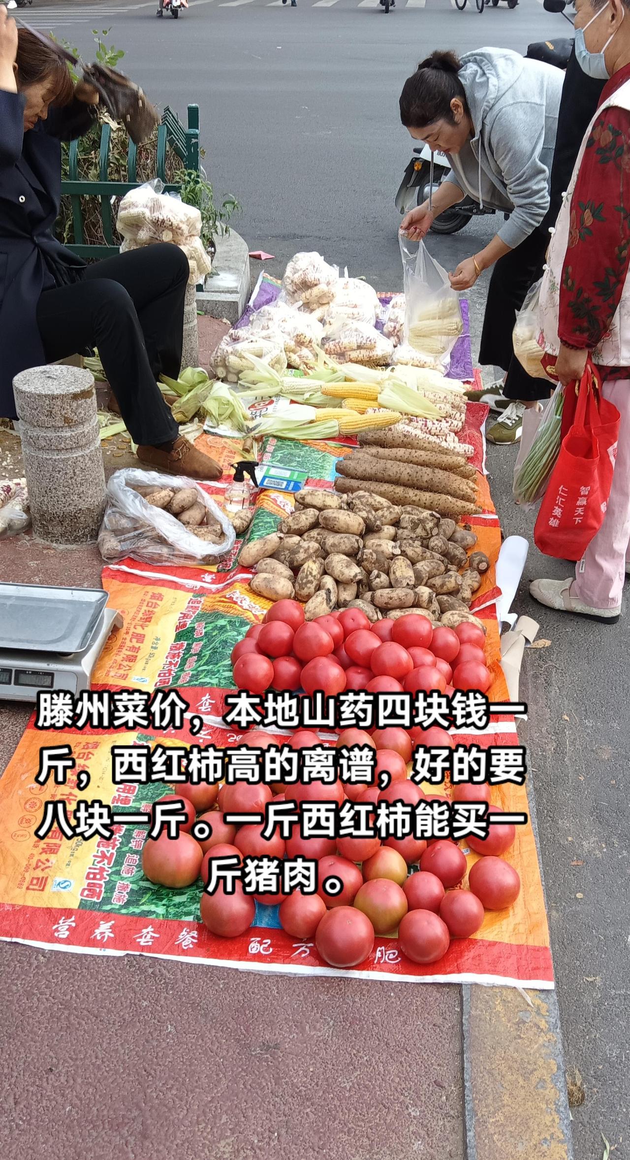 滕州菜价，一斤西红柿能买一斤猪肉了。人间烟火气早市 物价很亲民 小县城的物价