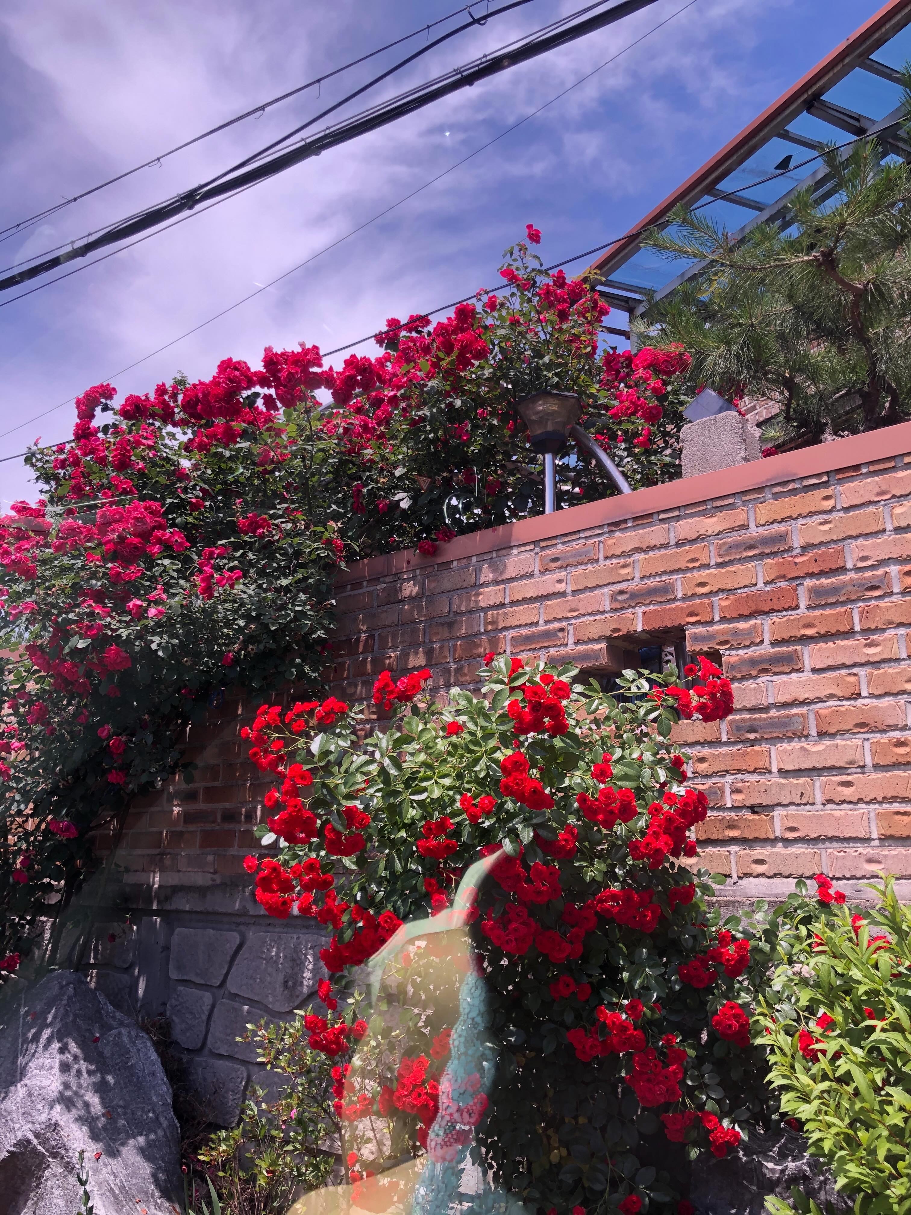 heartsignal近期林炫珠 