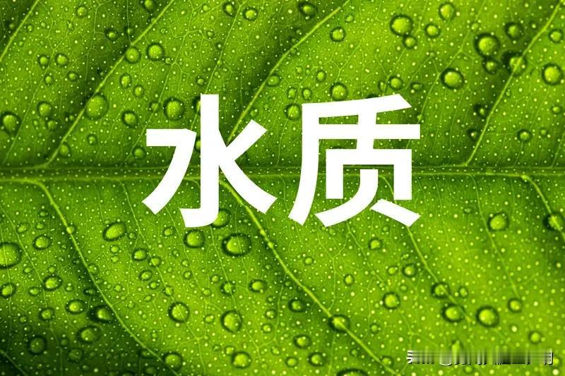 大家觉得现在的水质健康吗? 现在的水质健康状况真不好一概而论。就说自来水和桶装水