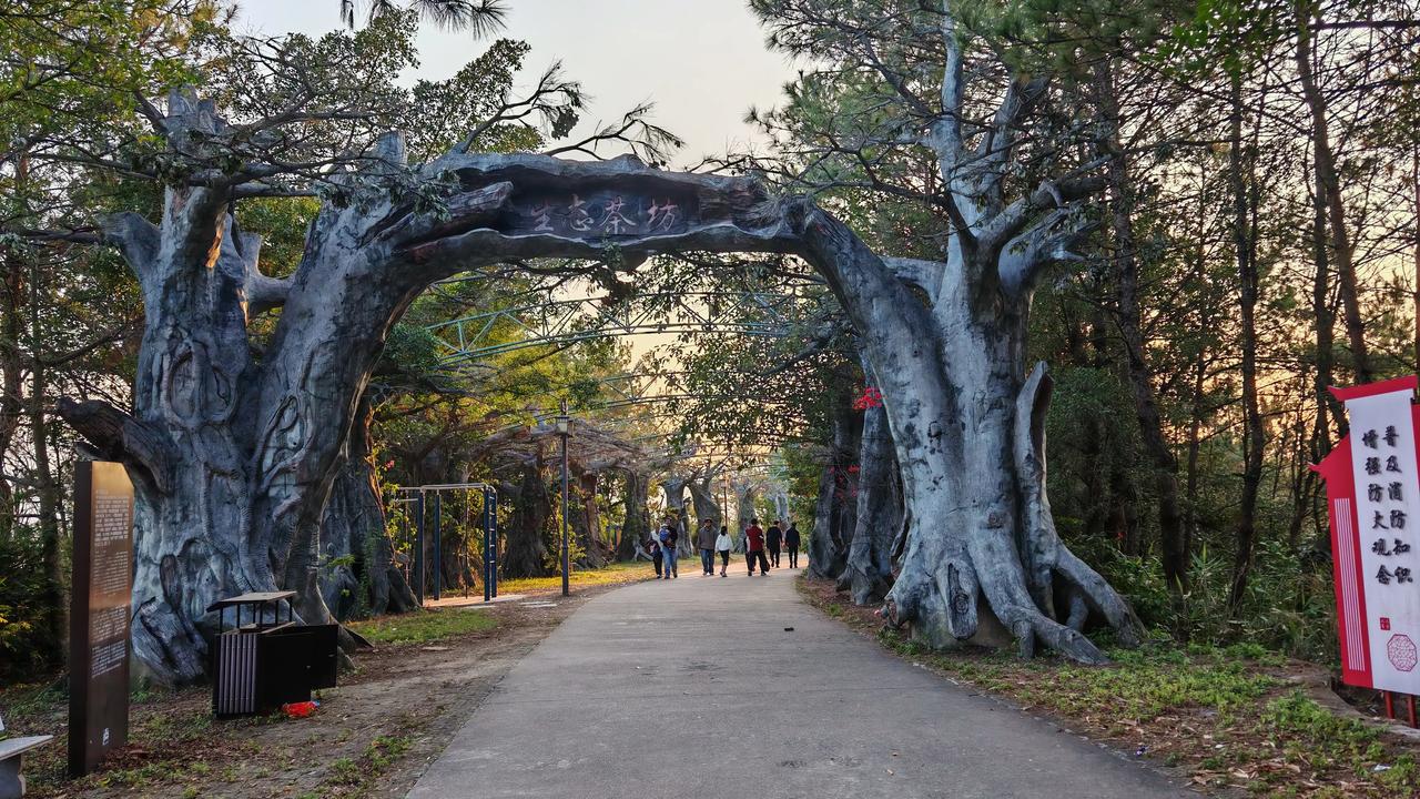 岑溪东山公园生态茶坊