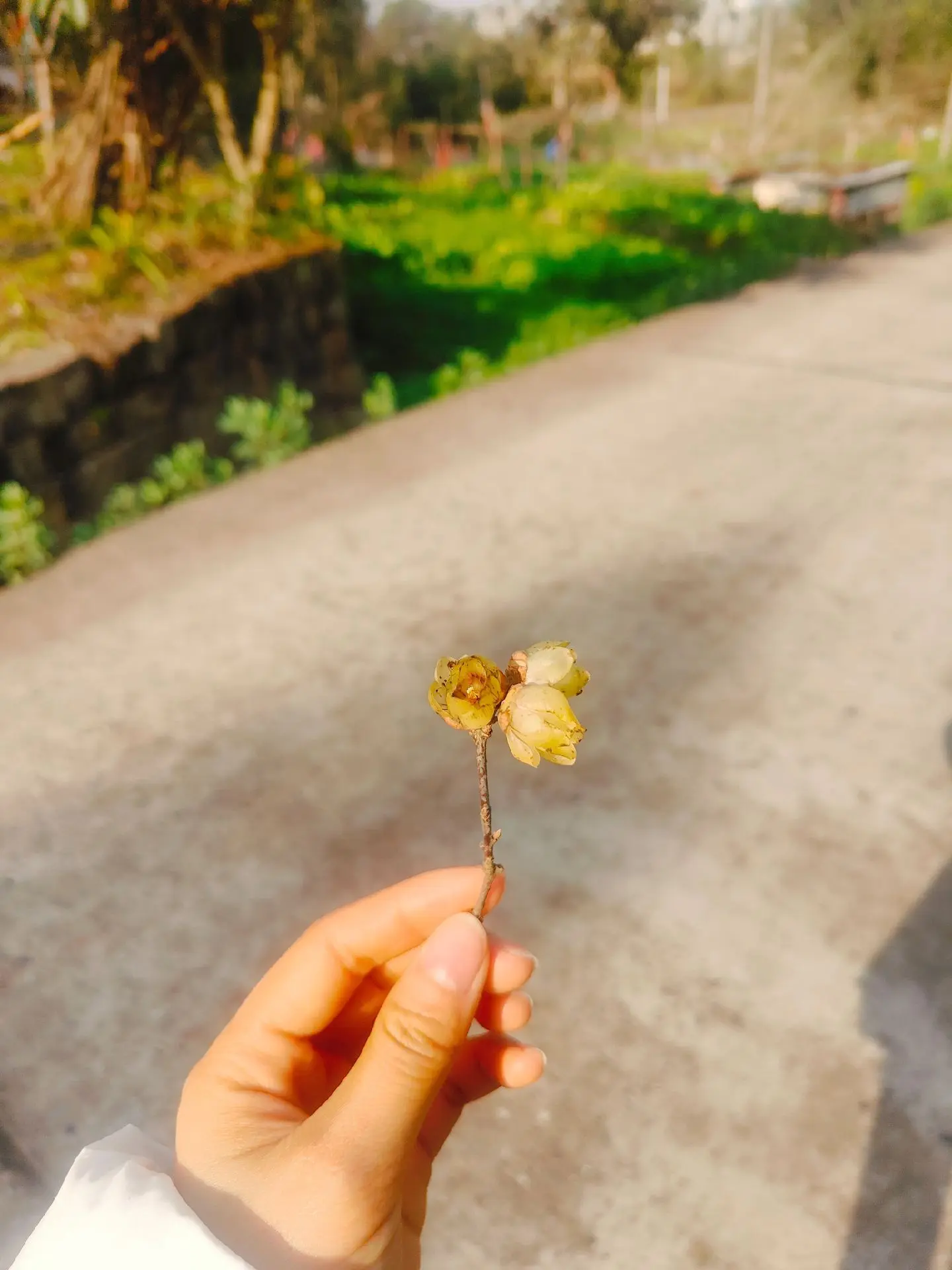 宝宝心里苦，但是宝宝不说……