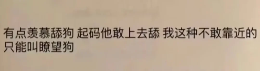 神金，笑死我了哈哈哈哈
