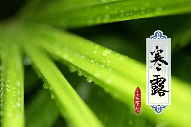 同一年寒露，既是早寒露又是晚寒露，农谚怎么看今冬冷暖