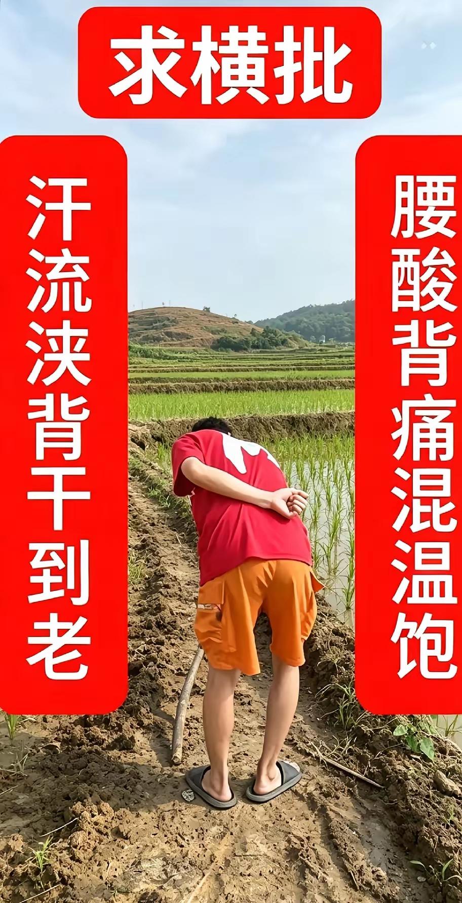这位大叔没文化，外出打工又被人 嫌弃，只能在家种田。求高手赐下横批！
对联 对联