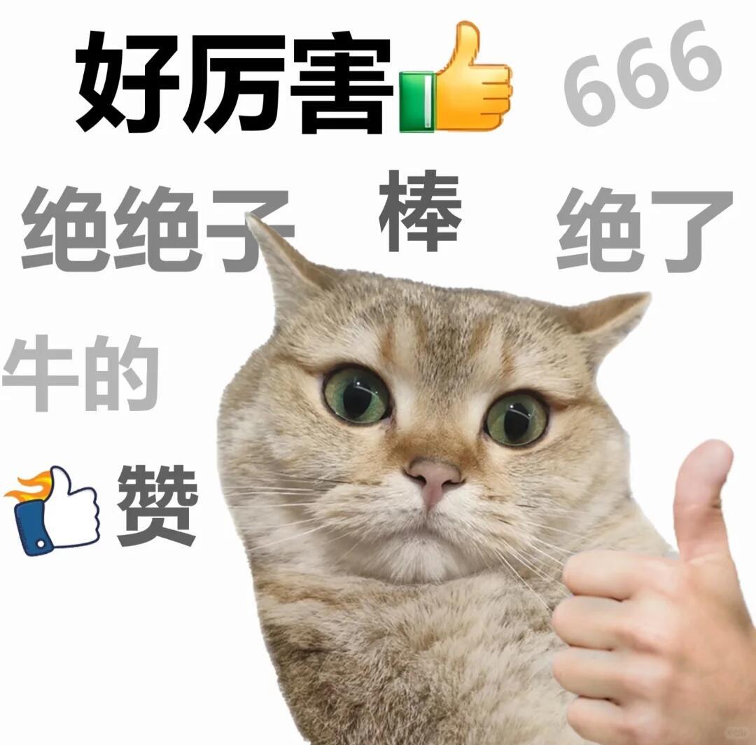 京东疑似联合长安推出行业务京东内测出行新业务我们东子哥的业务范围越来越广泛了，当