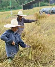 已正式获批，有官方认可基础利于吸引游客。史载：荆楚盛地，江南鱼米之乡。
这一带才