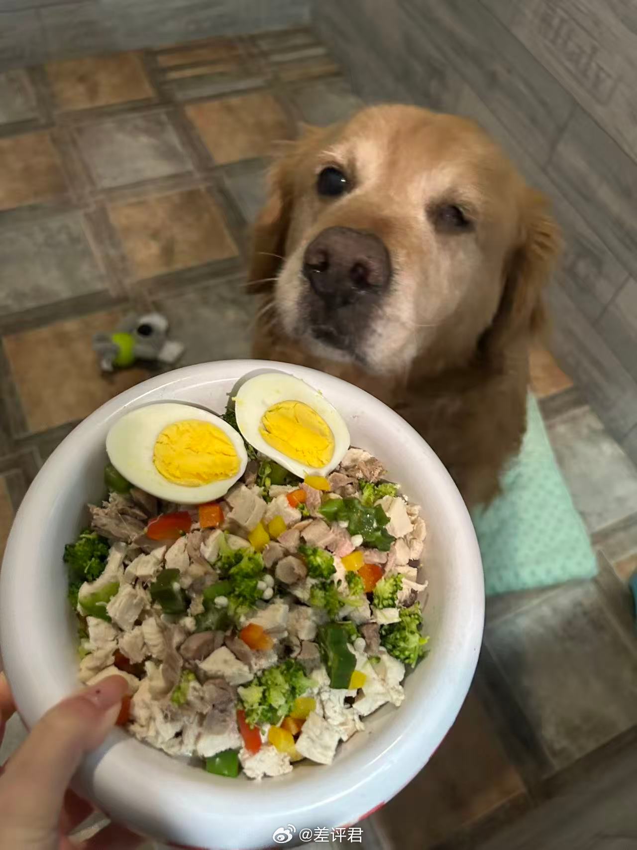 看看大家的年夜饭 