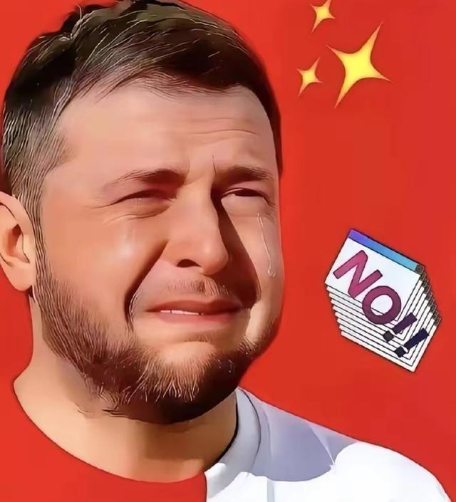 乌克兰传来消息2026年4月28日，乌克兰议会以315票赞成的结果通过了总统泽连