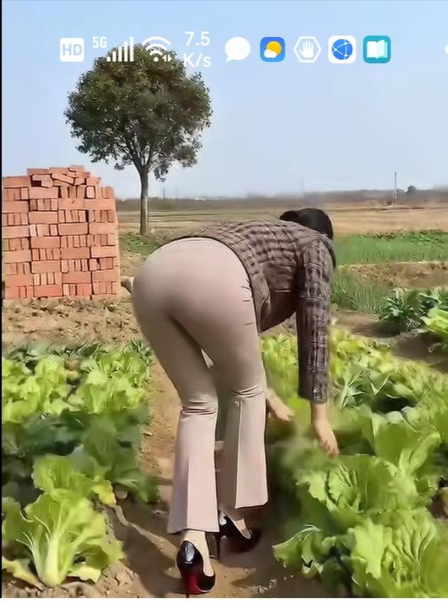 〔循环系统组成之一的心脏〕心脏结构。做实验：往主动脉血管里注入水。水会从何处流出