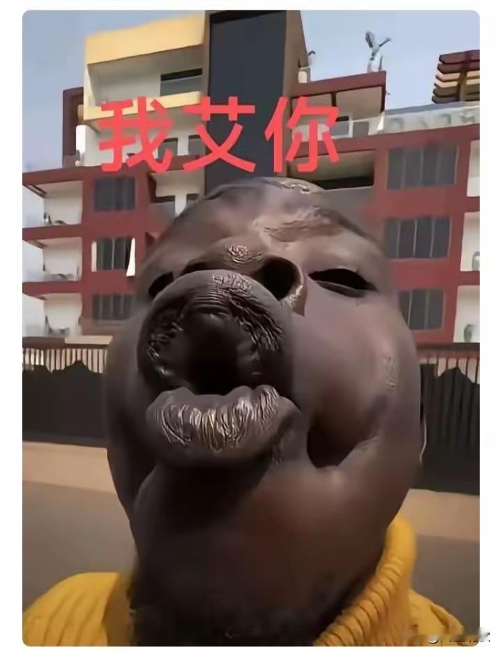 表情虽夸张颜色虽诙谐，但情感真挚浓烈！[呲牙]