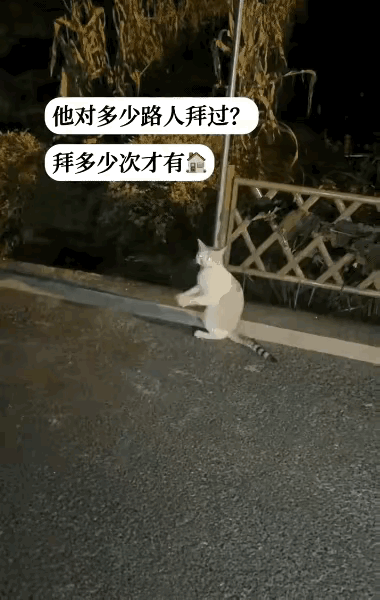 泪目了！这天夜里一位小姐姐去夜跑，当她跑到公园的一条小路上的时候，看到了令人伤感