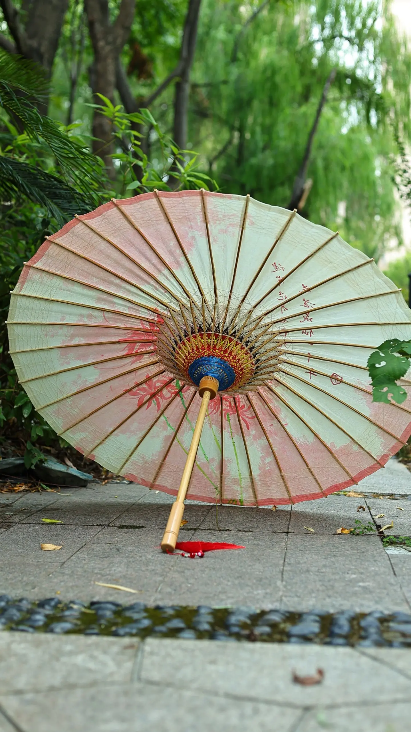 手绘彼岸花油纸伞。彼岸花开，思念成海，花开一千年，花落一千年