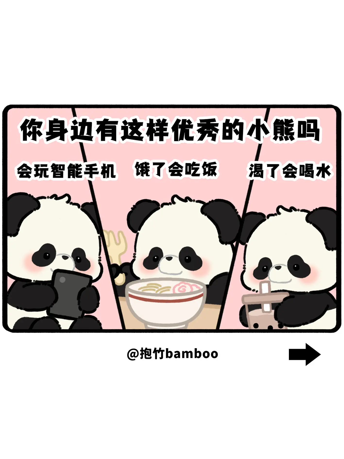 这么聪明的小女熊可不好找