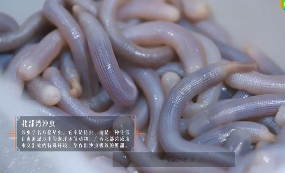 16省市宝藏食材成厨综考题 家人们，《一饭封神》把16省市的宝藏食材都搬上赛场了