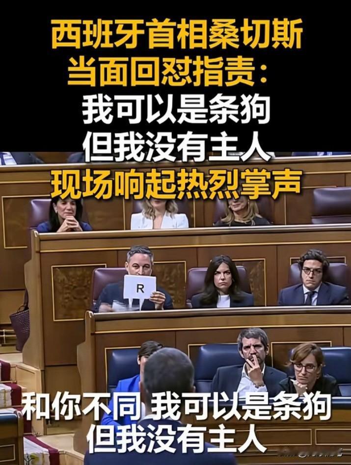 狗是好动物，不能被侮辱。

谁都可以做狗，但做狗不等于做走狗：不能有主人，更不能