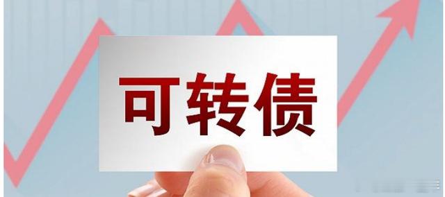 A股 路维转债今日申购，转股价值为94.22 ​​​