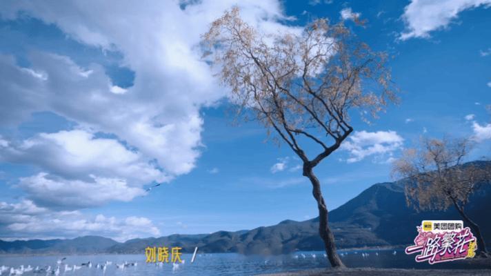 刘晓庆出走半生归来仍是少年 一直都很喜欢刘晓庆，看了一路繁花预告更是让我赞不绝口