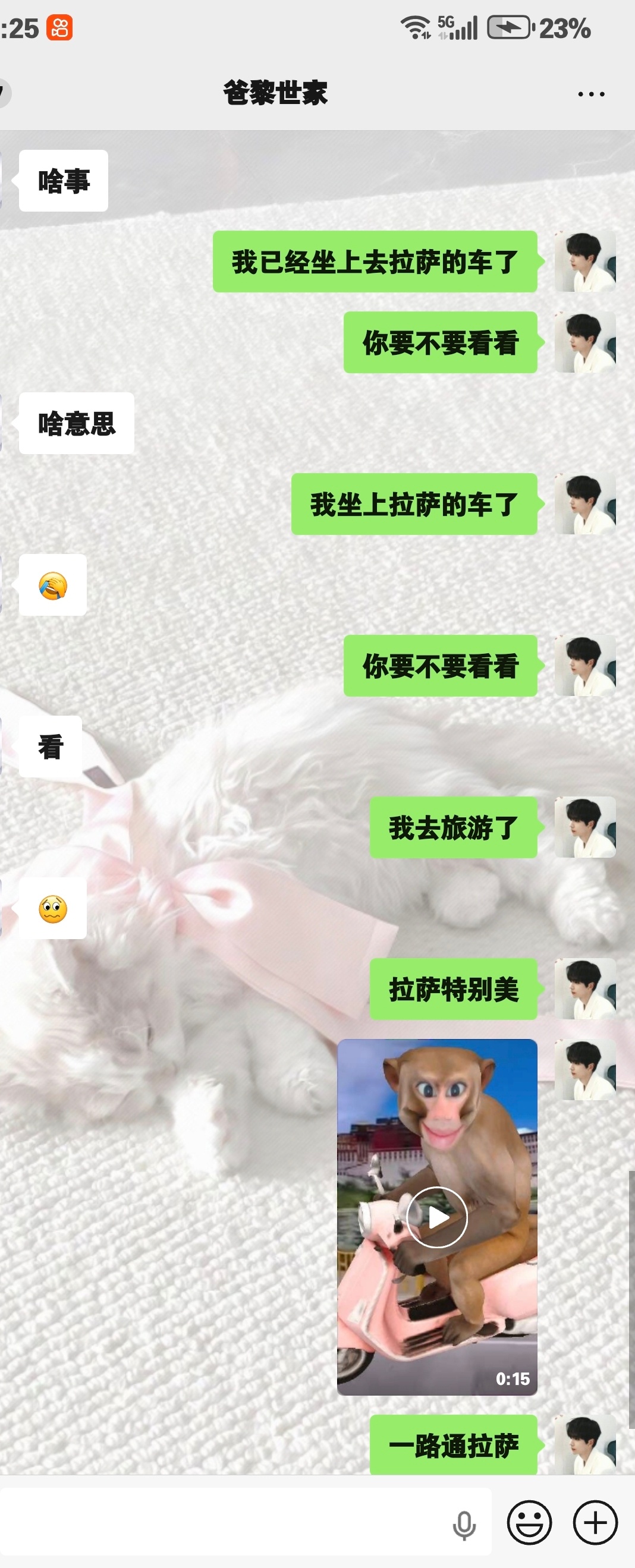 笑死我了我已经到拉萨了 