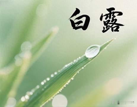 “旱不旱，就看白露”，今日白露，今年会出现大旱吗？