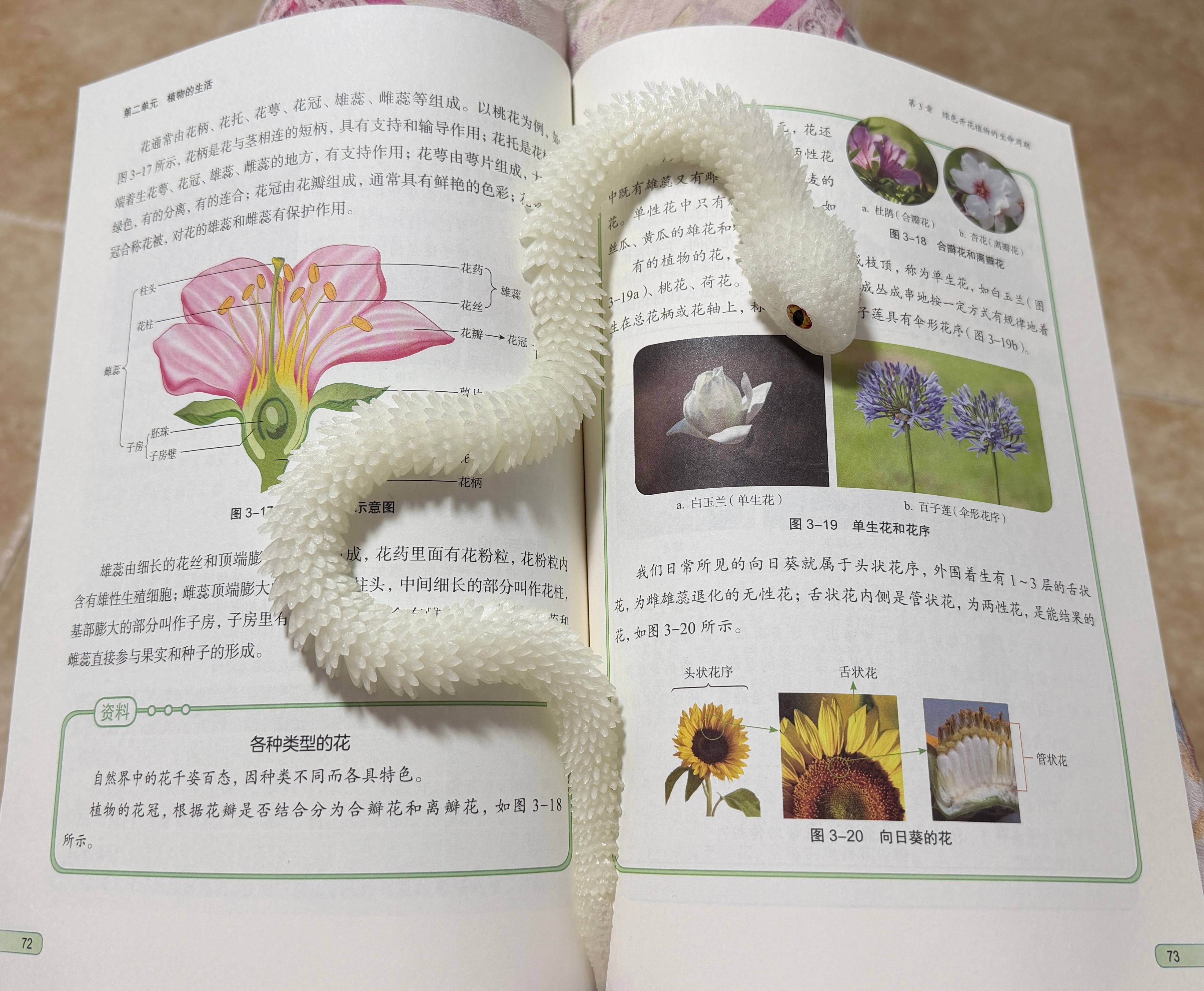 重读初中生物[你好] ​​​