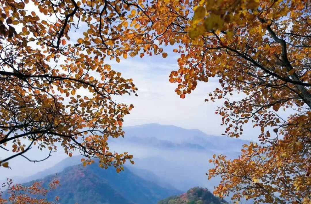 自定义区域截图：按 Win+Shift+S，选矩形/任意形状/窗口/全屏，截图存