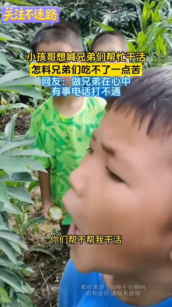 我们是什么兄弟？你们帮不帮我干活？不帮我，我吃不了一点苦，回家喝奶茶。