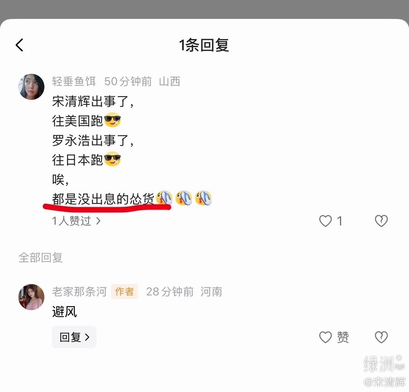 山西网友留言  宋清辉出事了，往美国跑罗永浩出事了，往日本跑唉，都是没出息的怂货