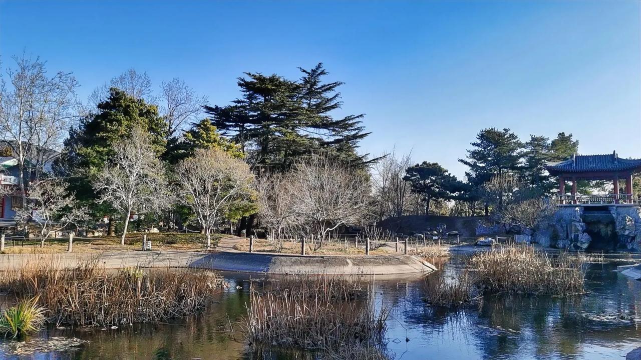 静谧的公园，潺潺流水，古色古香的亭台楼阁，尽显东方韵味。冬天的植物园，也很美。