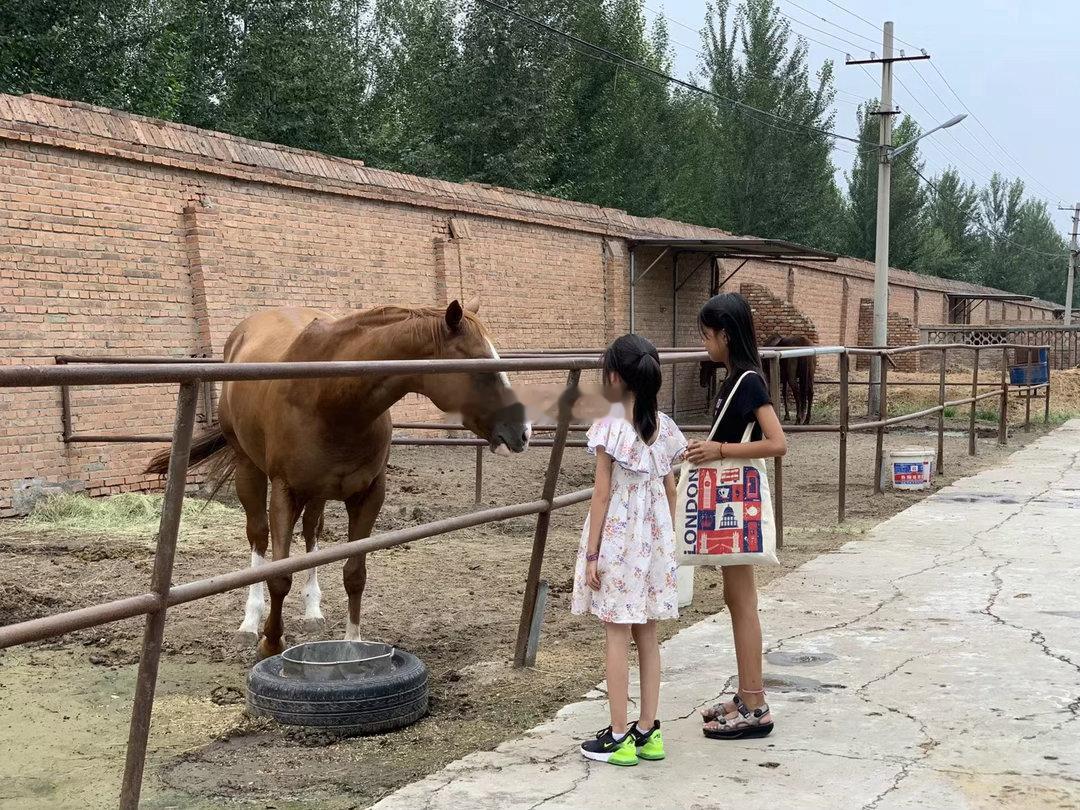 今天俩丫头又跟着阿姨去马场 看赛马🏇 见世面去了[嘻嘻] ​​​