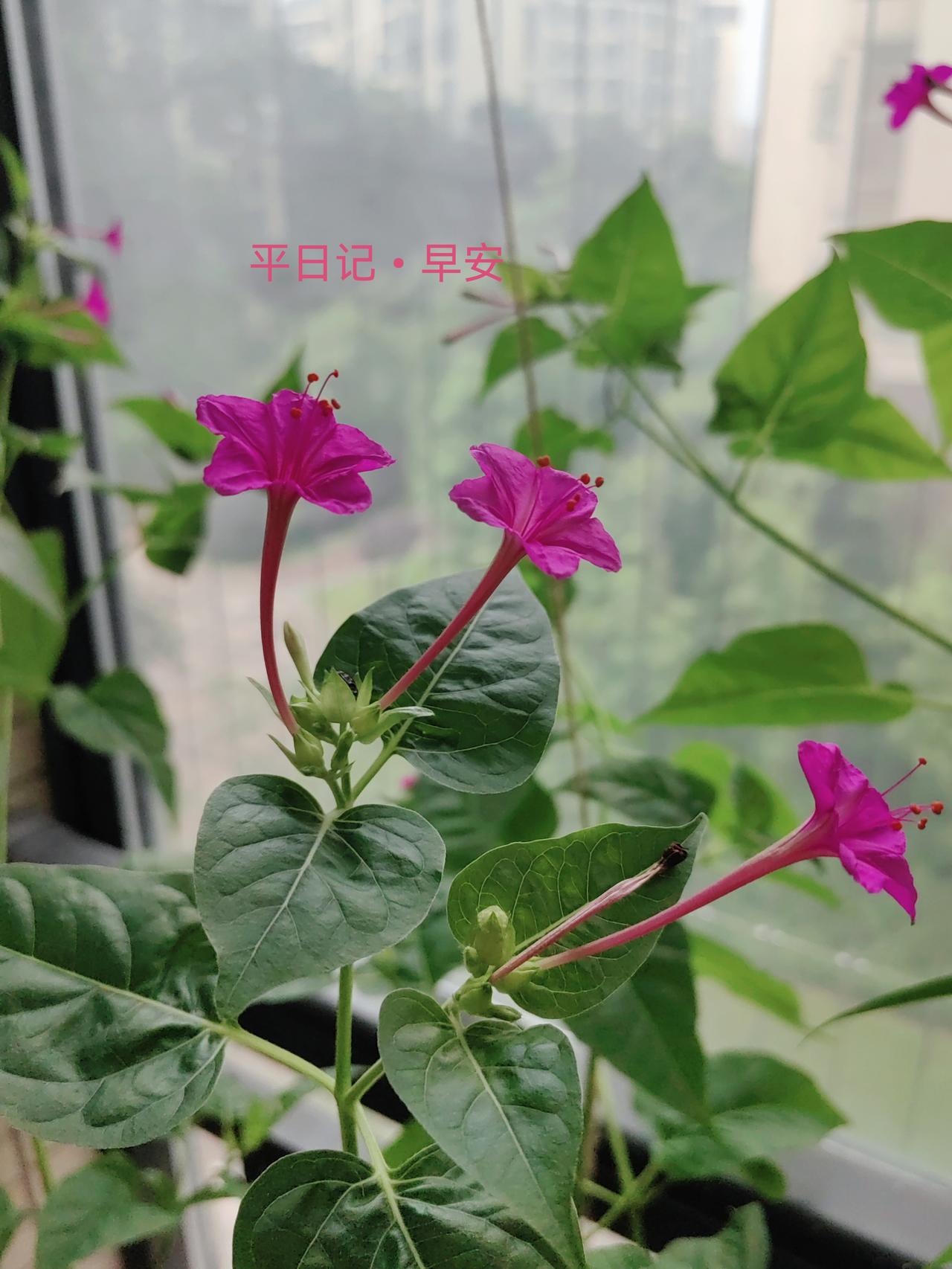 平日记•早安

人生的目标，在于向前，也在于拐弯。

人生的成长，在于学惜，也在