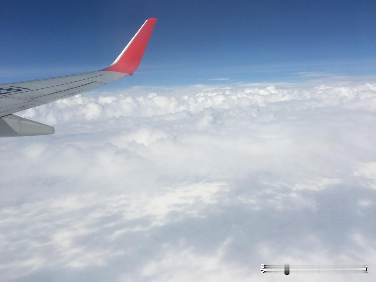 普通人可参考的创业小方向清单

1. 借力AI工具做细分设计服务
针对入驻数贸中