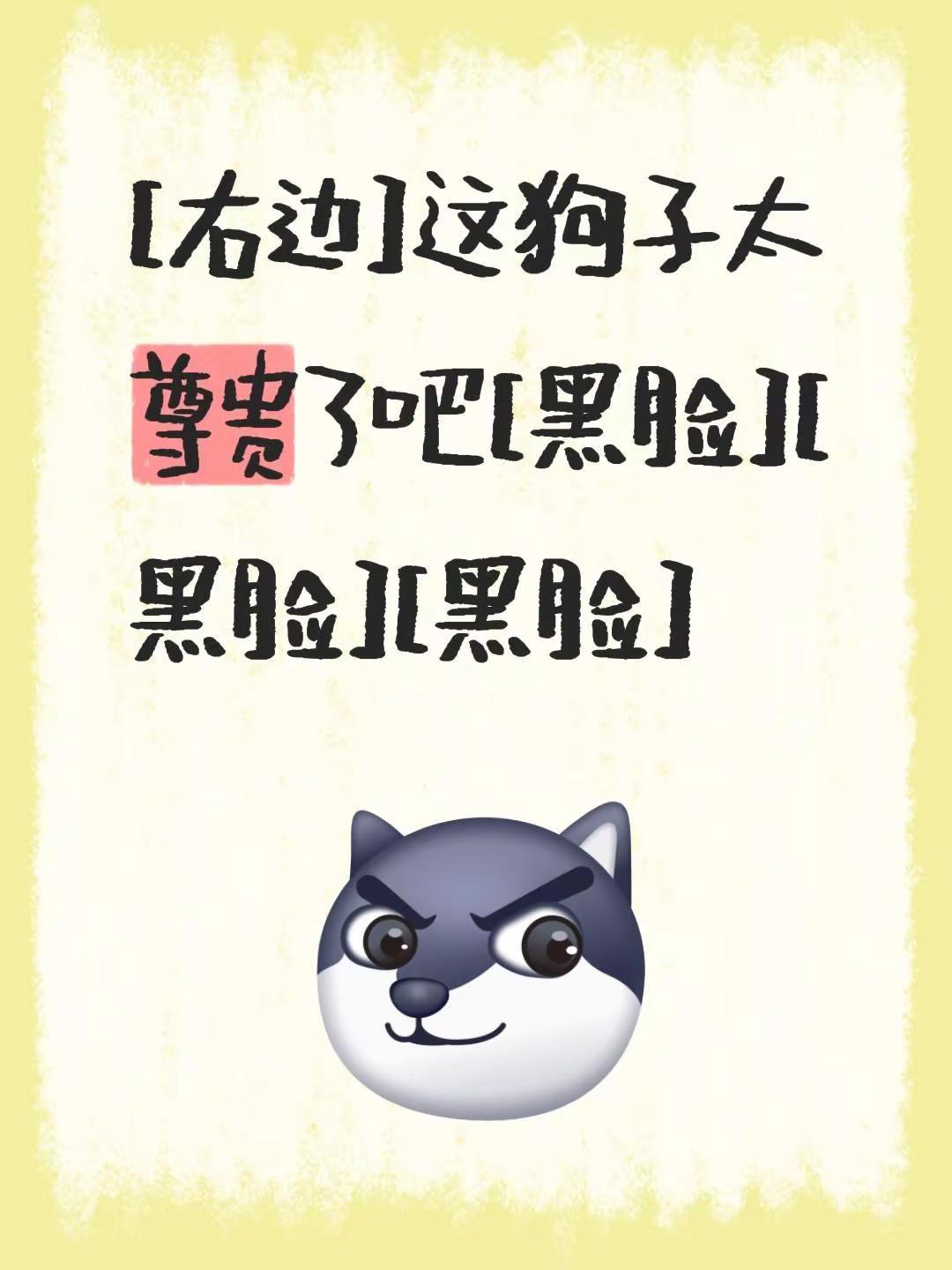 我评论了@向東 的作品：[右边]这狗子太尊贵了吧[黑脸][黑脸][黑脸]