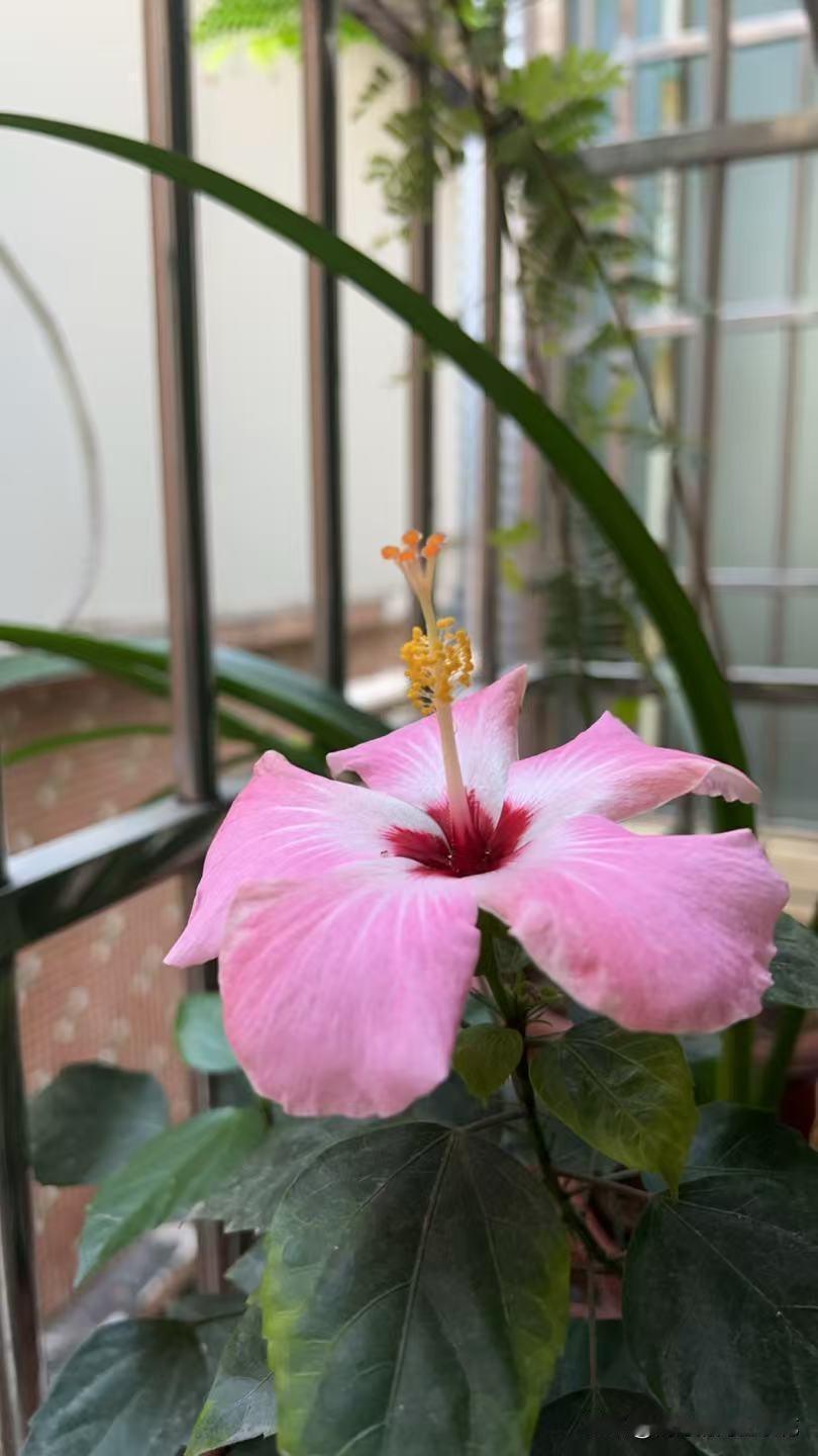 叮咚，手机屏幕亮了一下，微信铃声响了一下。
我们正坐在沙发上聊着天，突然看见微信