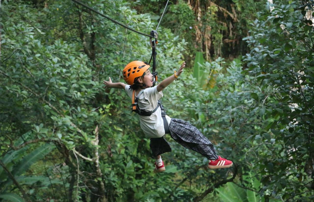 在热带雨林当了一天猴子在大自然里chill