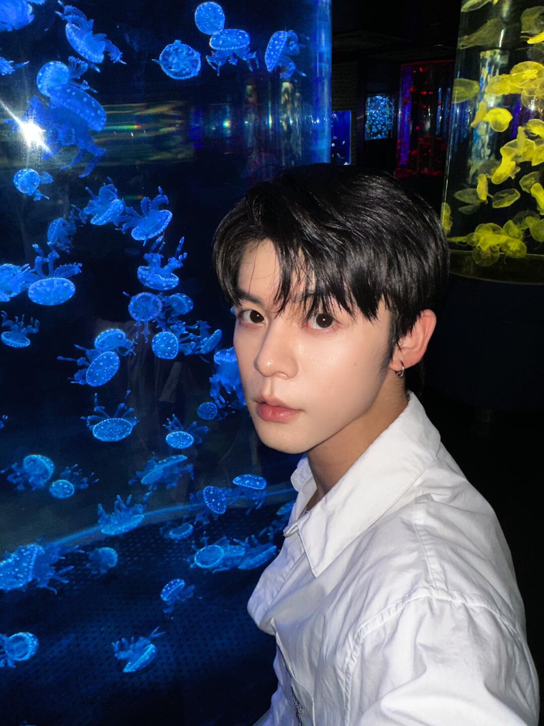 动物园里有什么？