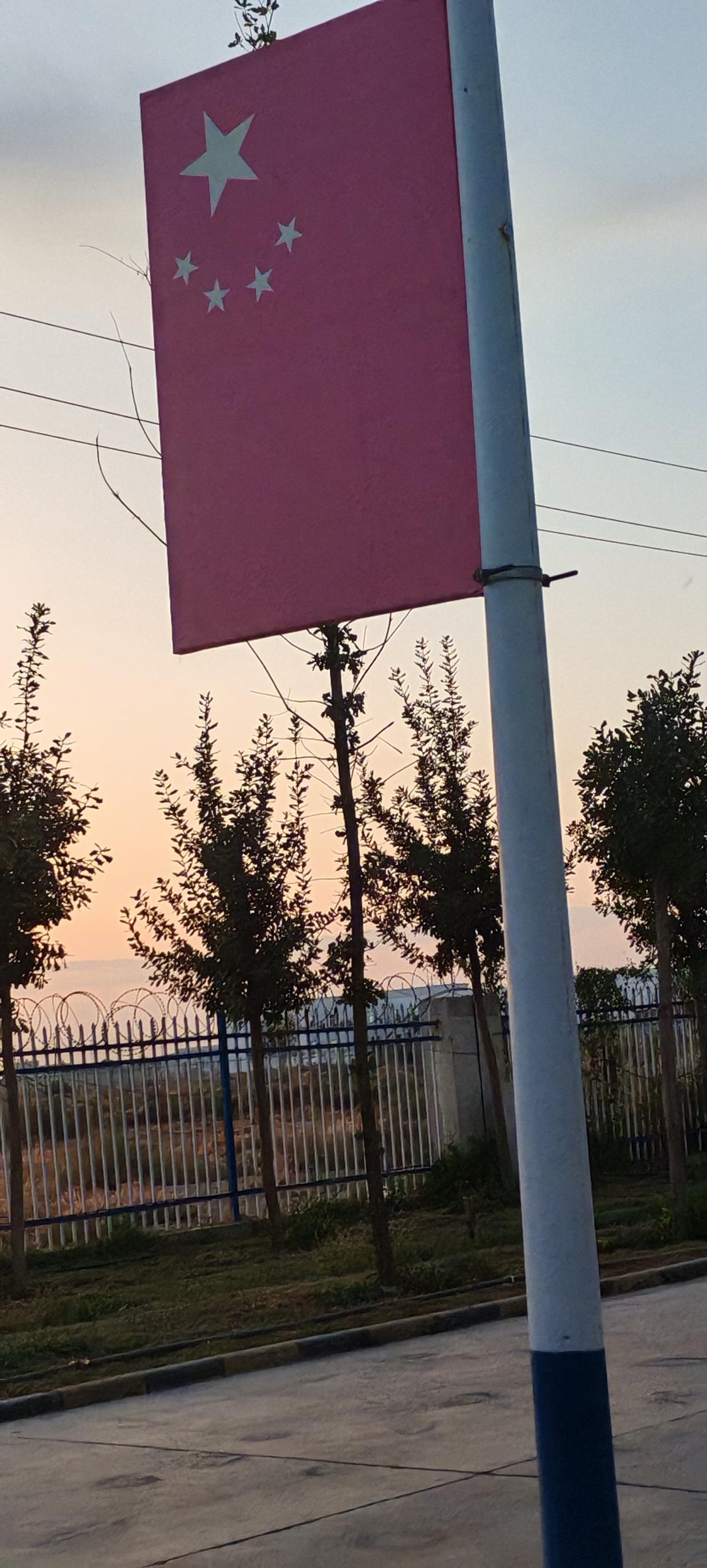 今天我拍的树，快黄叶了，在绿叶时拍最美